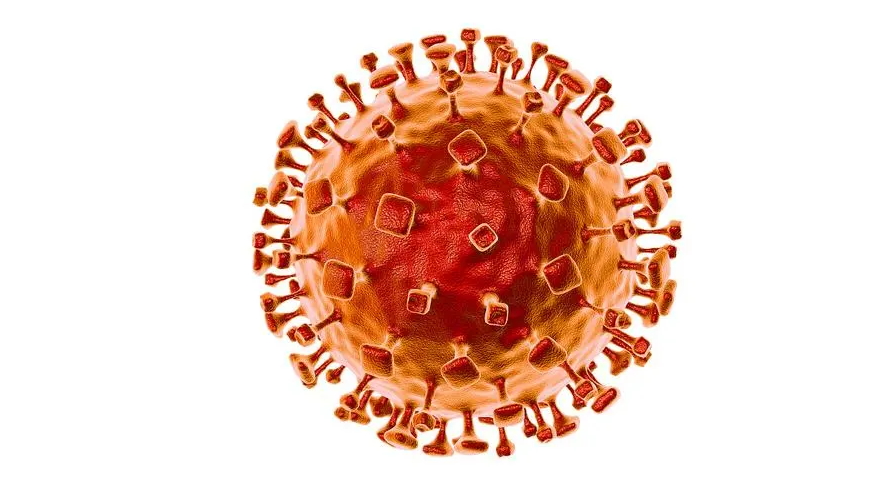 科方生物尼帕病毒核酸检测试剂盒，为全球公共卫生注入&ldquo;硬核&rdquo;力量！