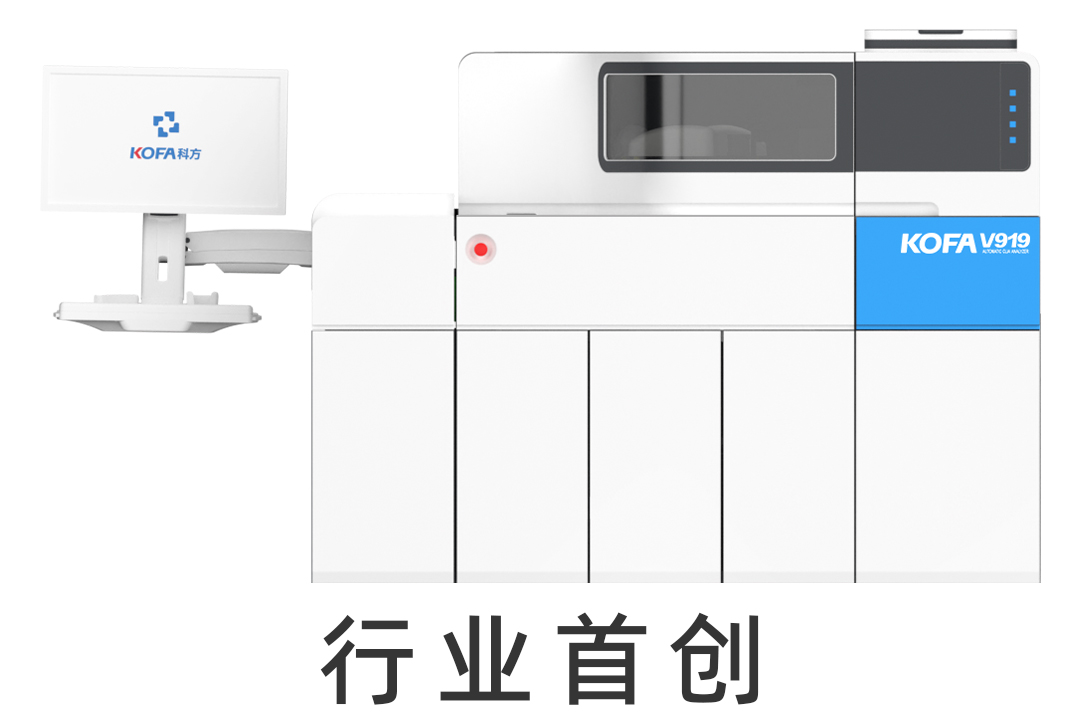 2023年